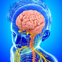 Metabolic Disorders of the Nervous System 