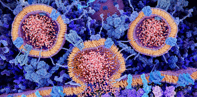 Mechanisms of Ion Channel Function at the Atomic and Biophysical Level