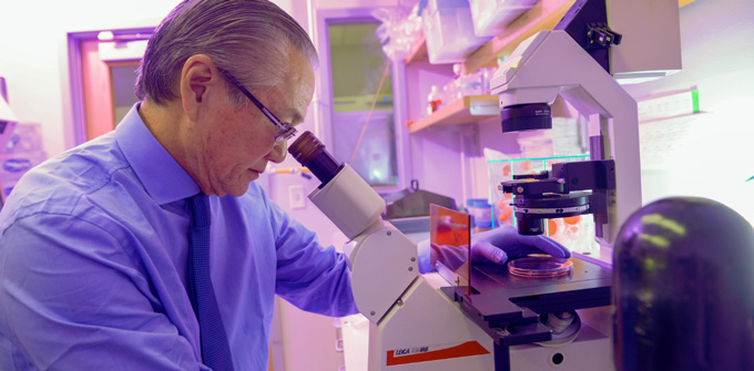 Joseph Takahashi, Ph.D., looks into a microscope in his lab