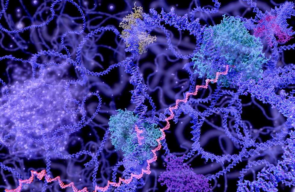 DNA transcription illustration